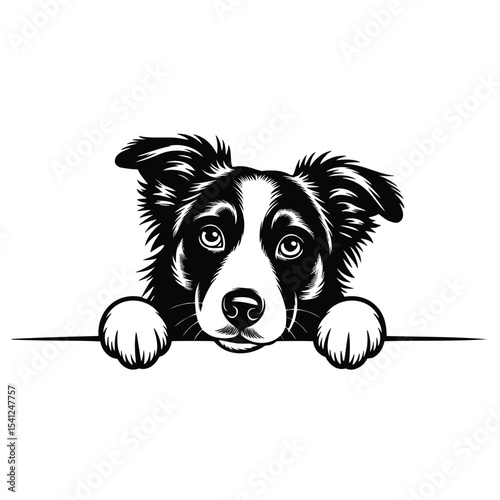 Dog peers over edge with paws hanging down. Cute puppy portrait, playful expression, animal illustration