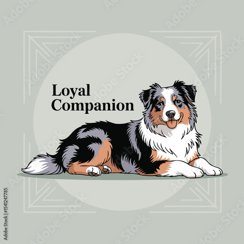 Australian Shepherd lies down with tongue sticking out. Loyal companion, purebred pet, domestic animal illustration, smiling
