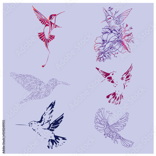 bird colour vector picture 8