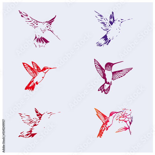 bird colour vector picture 9