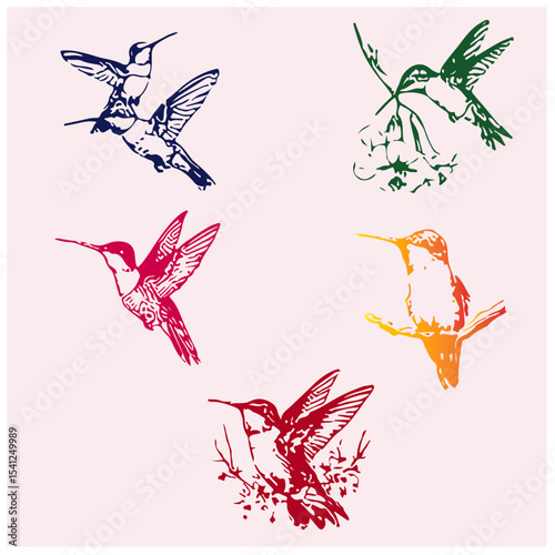 bird colour vector picture 10