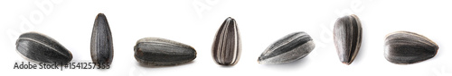 Wallpaper Mural Set of many sunflower seeds on white background Torontodigital.ca
