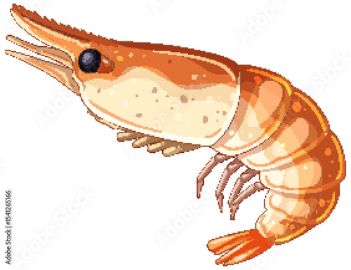 Detailed Vector Illustration of a Shrimp