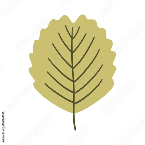 Alder leaf in light green color. One element isolated on white. Spring or summer background, vector illustration