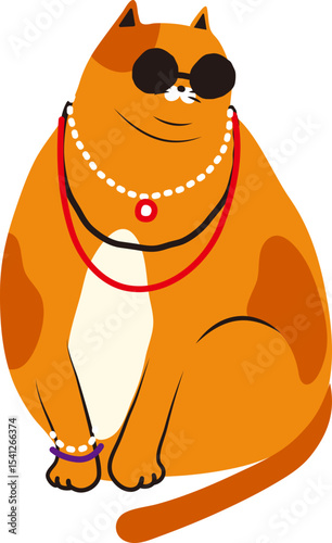 부자 고양이