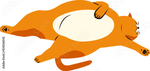 누워있는 고양이
