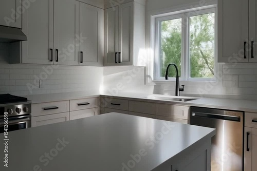 modern kitchen in modern house