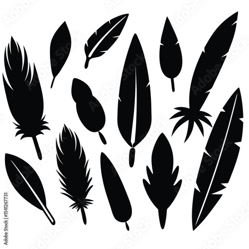 A versatile vector set showcasing various black feather illustrations, perfect for intricate bird and nature-inspired designs or vintage writing patterns
