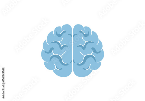 A light blue cartoon brain symmetrical with a white divider sits on a blank white background