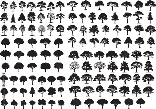 Diverse Tree Silhouette Vector Set, Forest and Park Trees Collection. Nature and Plant Graphic Elements.