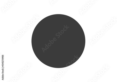 Solid dark gray circle on a stark white background