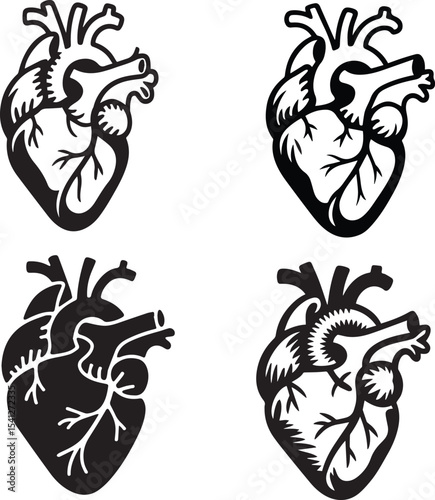 This illustration set features four distinct depictions of an anatomical human heart. 