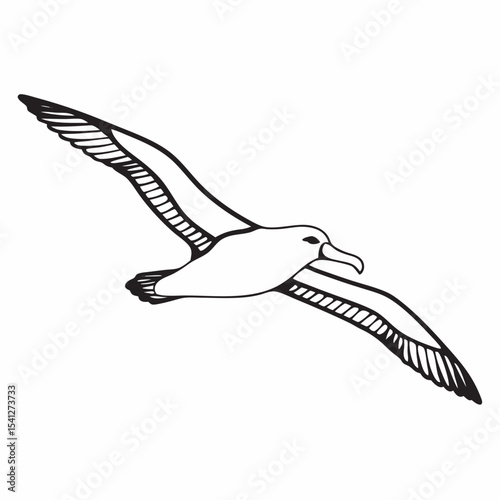line art of single wild albatross