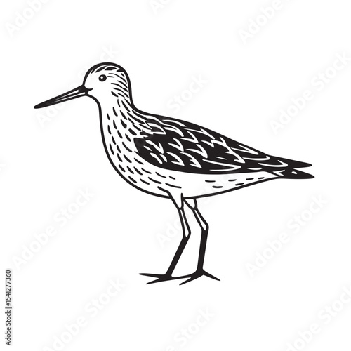 line art of single wild sandpiper
