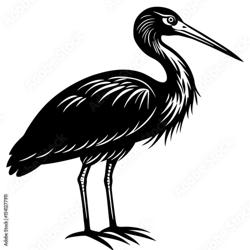 Stork with long beak silhouette