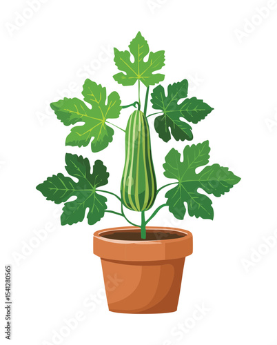 Fresh Ladyfinger Vegetable in Pot
