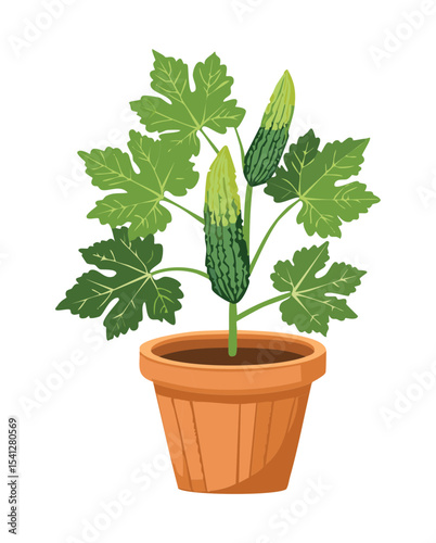 Okra Plant Growing in Pot