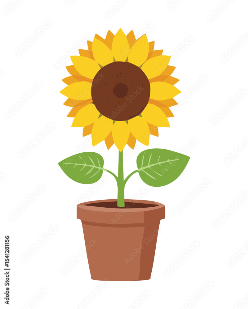 Obraz premium Bright Yellow Blooming Potted Sunflower
