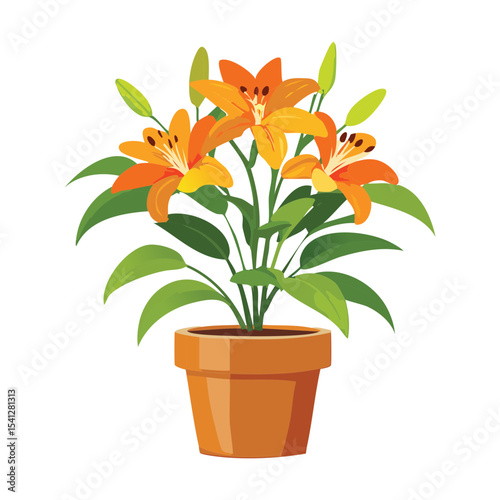 Orange Lily Flowers in Pot