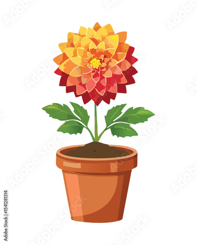 Orange Dahlia Flower in Pot