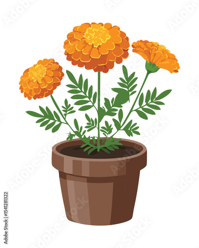 Marigold Flower in Terracotta Pot