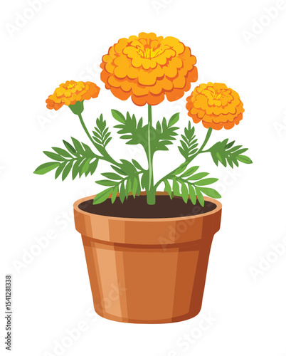 Orange Marigold Flower in Pot