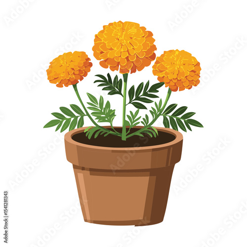 Orange Marigold in Terracotta Pot