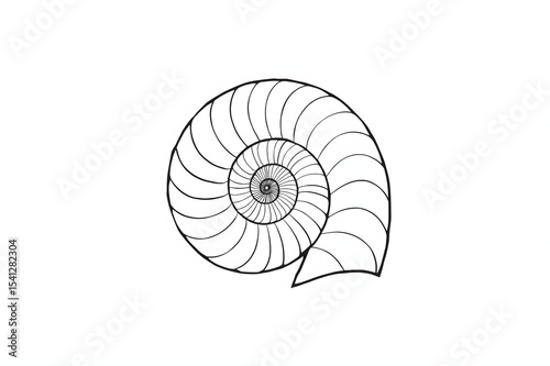 Simple black-and-white spiral seashell outline