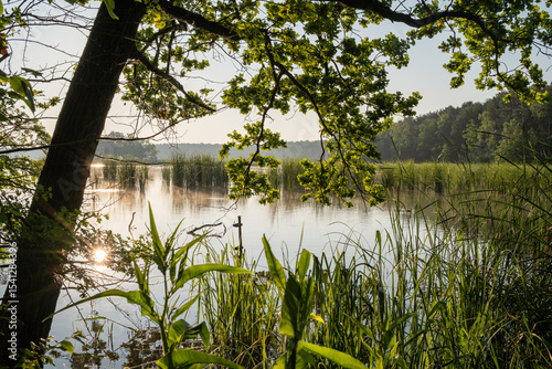 Summer lake placid
