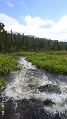 Aerial view of flooded mountain river with rapids flowing through rocky terrain in Siberian taiga. Powerful water current and natural whitewater perfect for rafting and adventure sports.