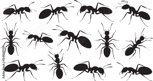 Collection of ant silhouettes in various poses