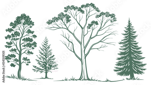 Vector art of silhouetted evergreens and deciduous trees, isolated on transparent background