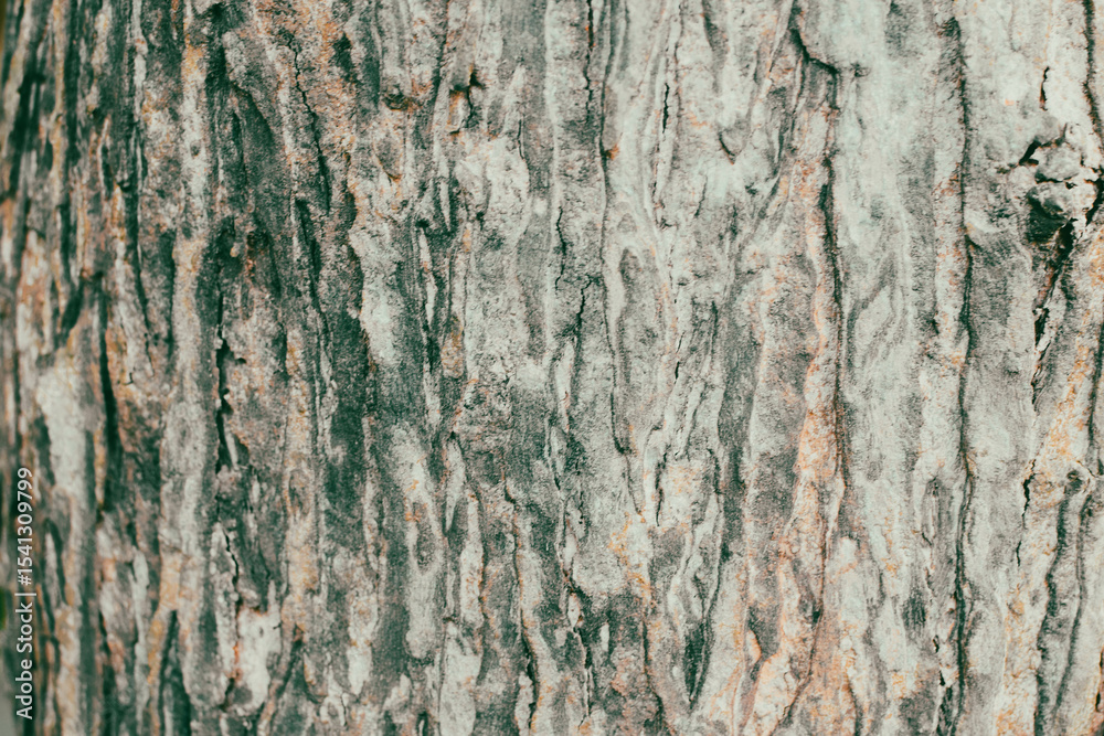 Obraz premium Close-Up Background View of the Textured Bark of a Large, Ancient Tree in Natural Light. Detailed Surface of a Thick Tree Trunk Showing Rugged Bark Texture in a Forest. Perfect for Nature Backgrounds