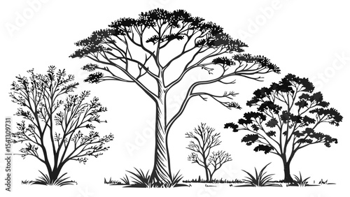 Vector art of silhouette of four trees isolated on transparent background, showcasing varying heights and textures