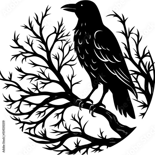 Raven perched on tree silhouette