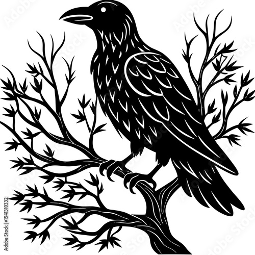 Raven perched on tree silhouette