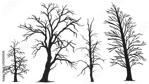 Vector art of silhouettes of four barren trees isolated on transparent background