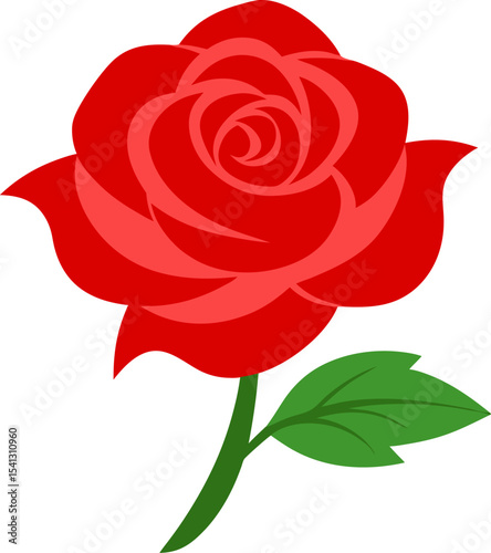 red rose vector illustration