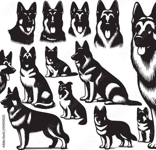 German Shepherd Dog Silhouette Vector | Black and White  Illustration