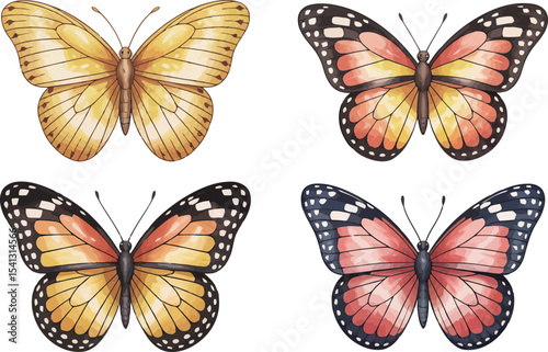 A set of four watercolor butterflies is presented, showcasing slightly different patterns and colors. 