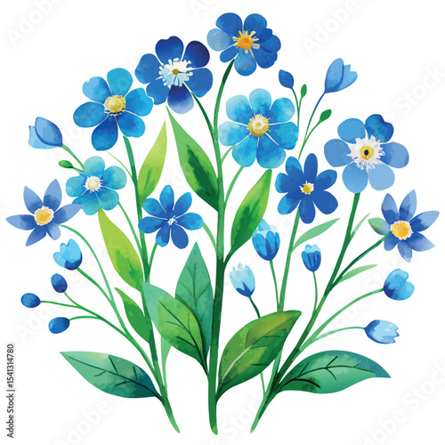 watercolour blue wildflowers white background