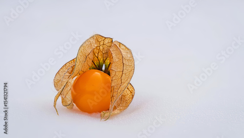 A single physalis fruit peeks out from beneath its delicate skeletal shell. The bright orange berry contrasts beautifully with the intricate, veined shell, glowing like a tiny flashlight. AI generated