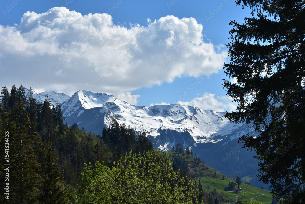 Schneebedeckte Berghänge hinter grünen Alpwiesen im Frühling, Diemtigtal, Schweiz Schneebedeckte Berghänge hinter grünen Alpwiesen im Frühling, Diemtigtal, Schweiz