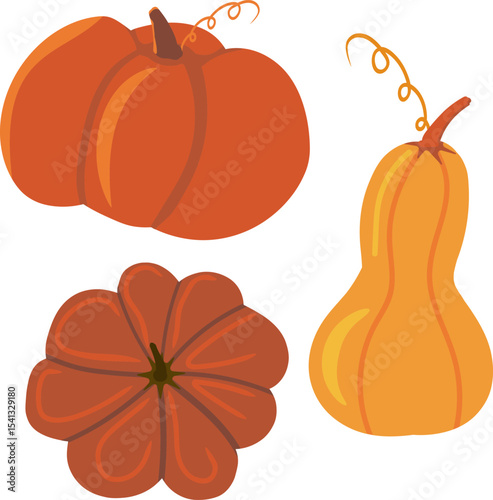 Set of clip arts of assorted autumn pumpkins and gourds in orange and reddish-brown tones on a white background. Ideal for Thanksgiving and harvest designs.