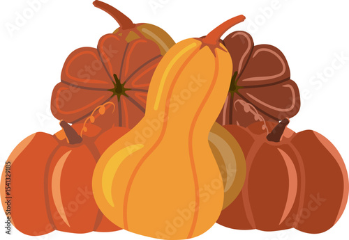 Vector illustration of a dense group of various autumn pumpkins and gourds in fall colors. Ideal for autumn themes, farm market graphics, or Thanksgiving and harvest designs.