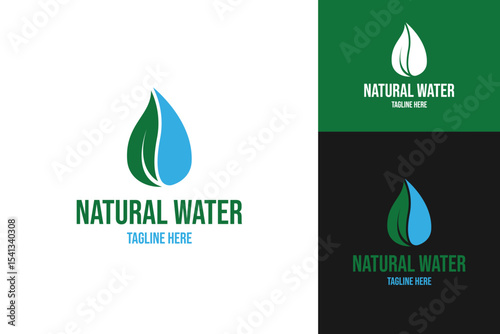 Leaf with water drop logo design template vector illustration