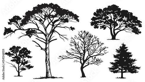 Vector art of silhouettes of five trees isolated on transparent background, showcasing a tall pine, a broadleaf oak, a bare winter tree, a small shrub, and a coniferous evergreen