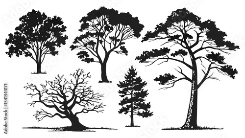 Vector art of five stark black tree silhouettes, isolated on transparent background