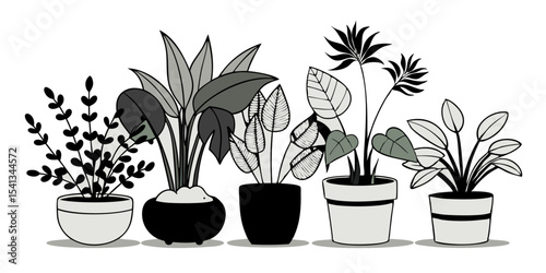 Vector art of a grayscale collection of potted houseplants, isolated on transparent background