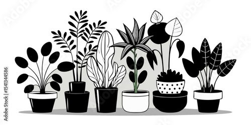 Vector art of a collection of potted plants, isolated on transparent background, showcasing diverse foliage in black and white